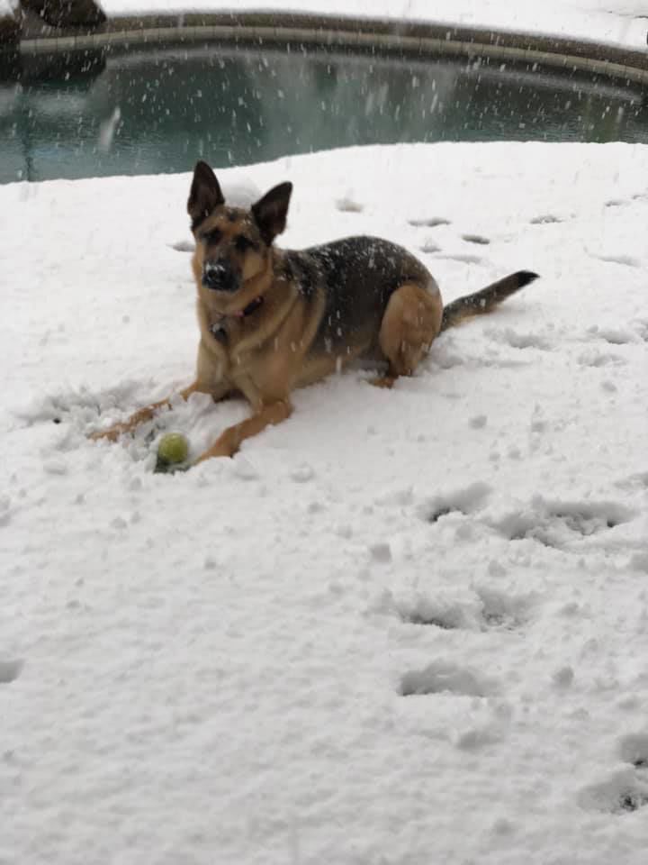 Snow in Vail